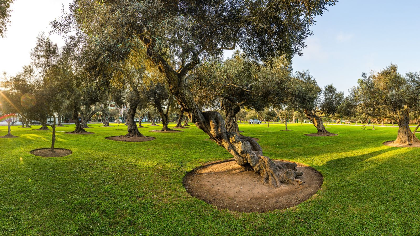 lugares para visitar en lima