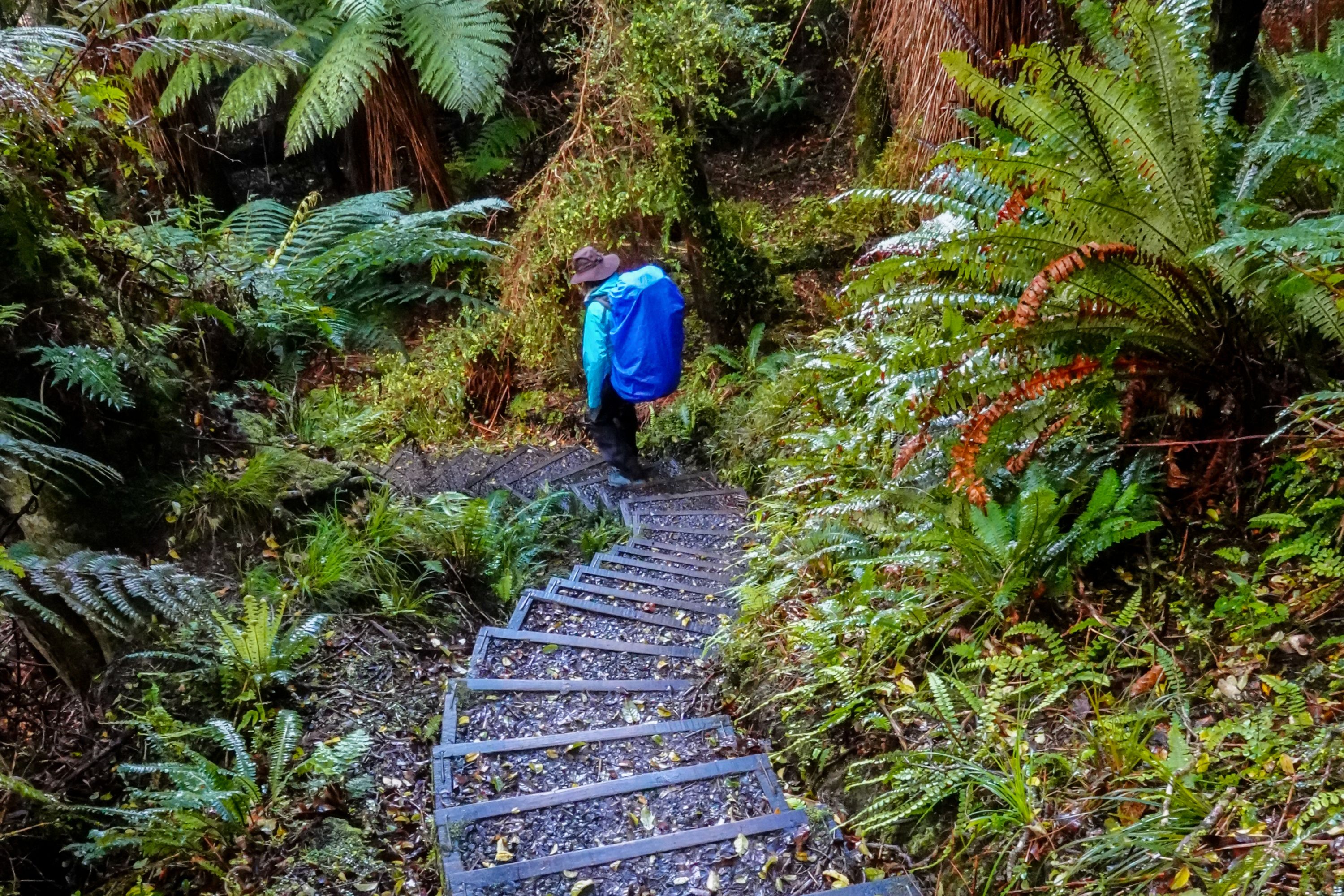 Hiking the Rakiura Track on Stewart Island in New Zealand.