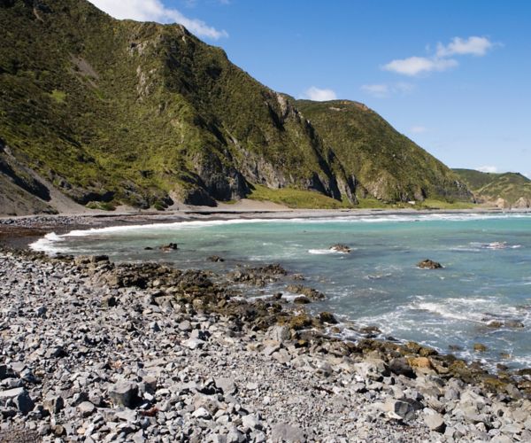 Red Rocks coastal walk in Wellington on New Zealand's north island