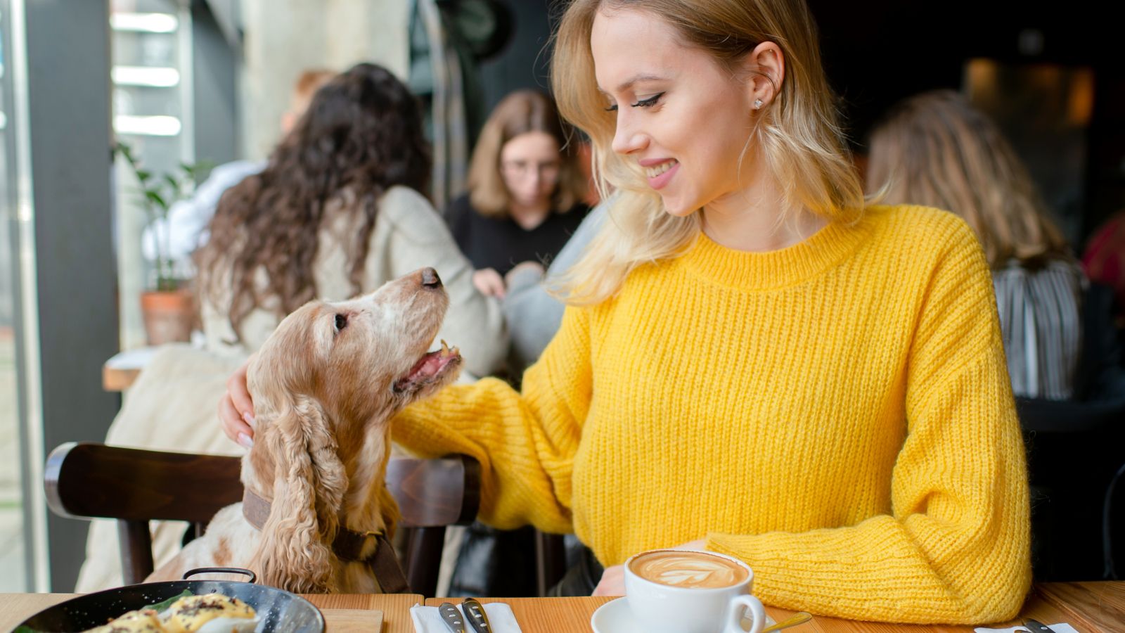 restaurante pet friendly/ restaurantes que aceitam cachorro