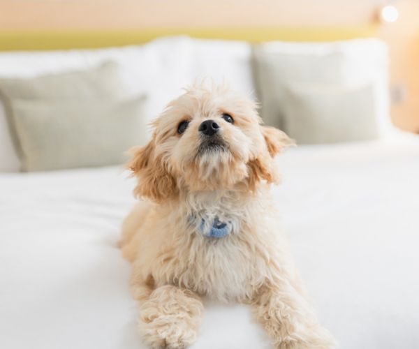 hoteles economicos en cartagena​