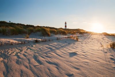 best beaches on the east coast
