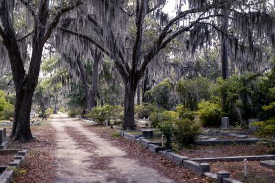 Photograph of a cemetery in the United States of America