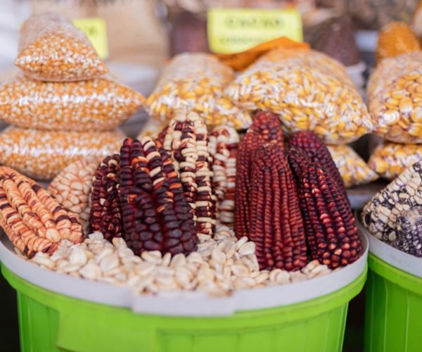 cultura cusco comida