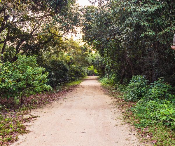 pelourinho salvador ba