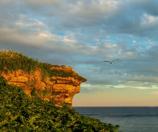 canadian national parks