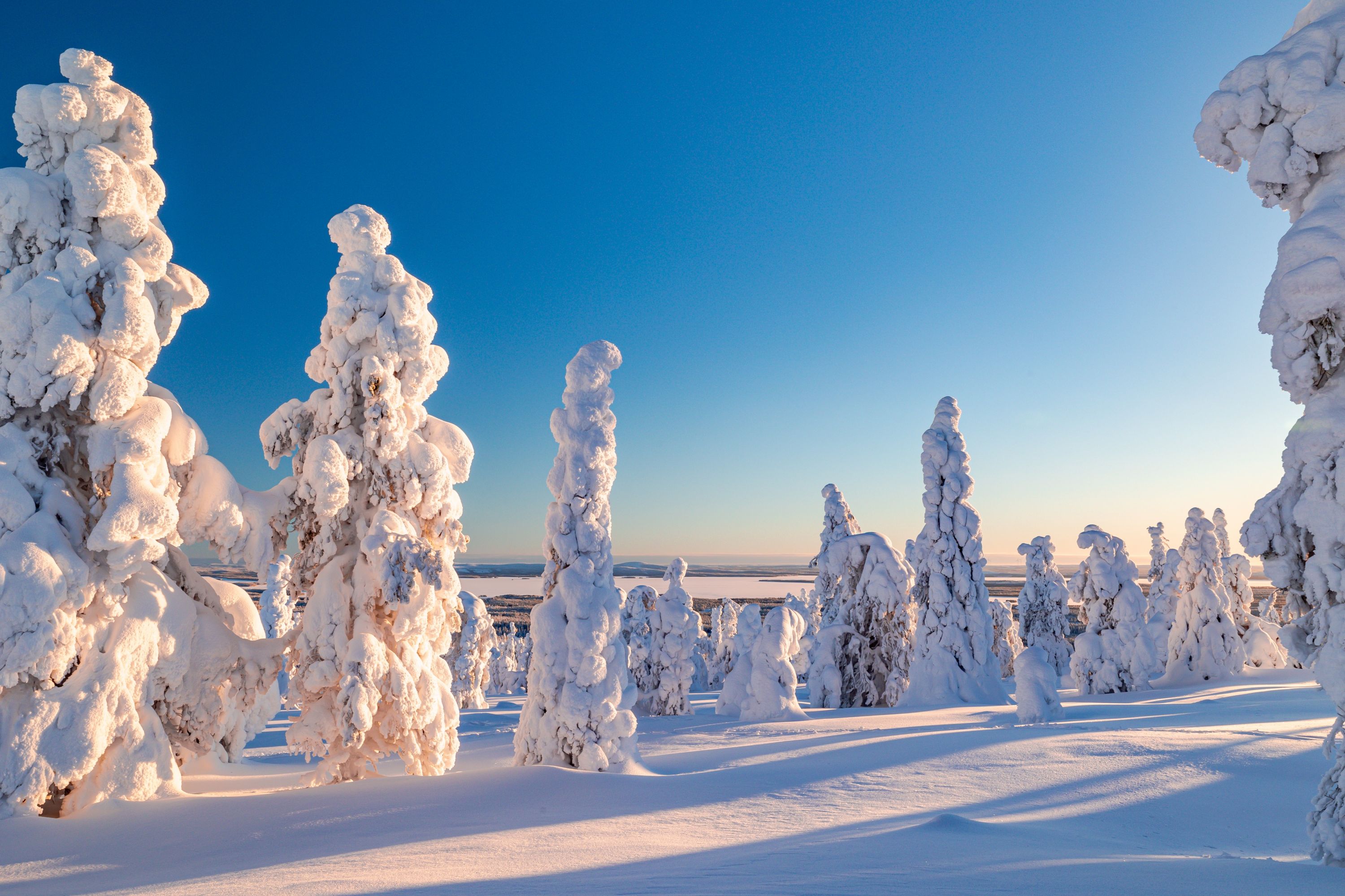Winter in Riisitunturi National Park, located in Finnish Lapland.