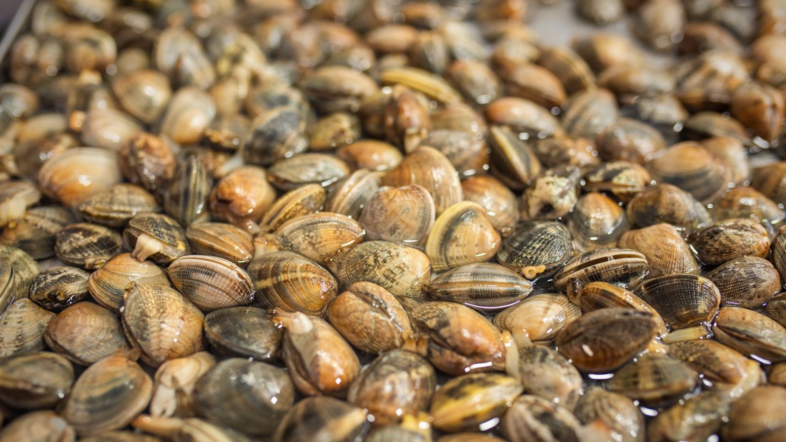 qué hacer en Panamá