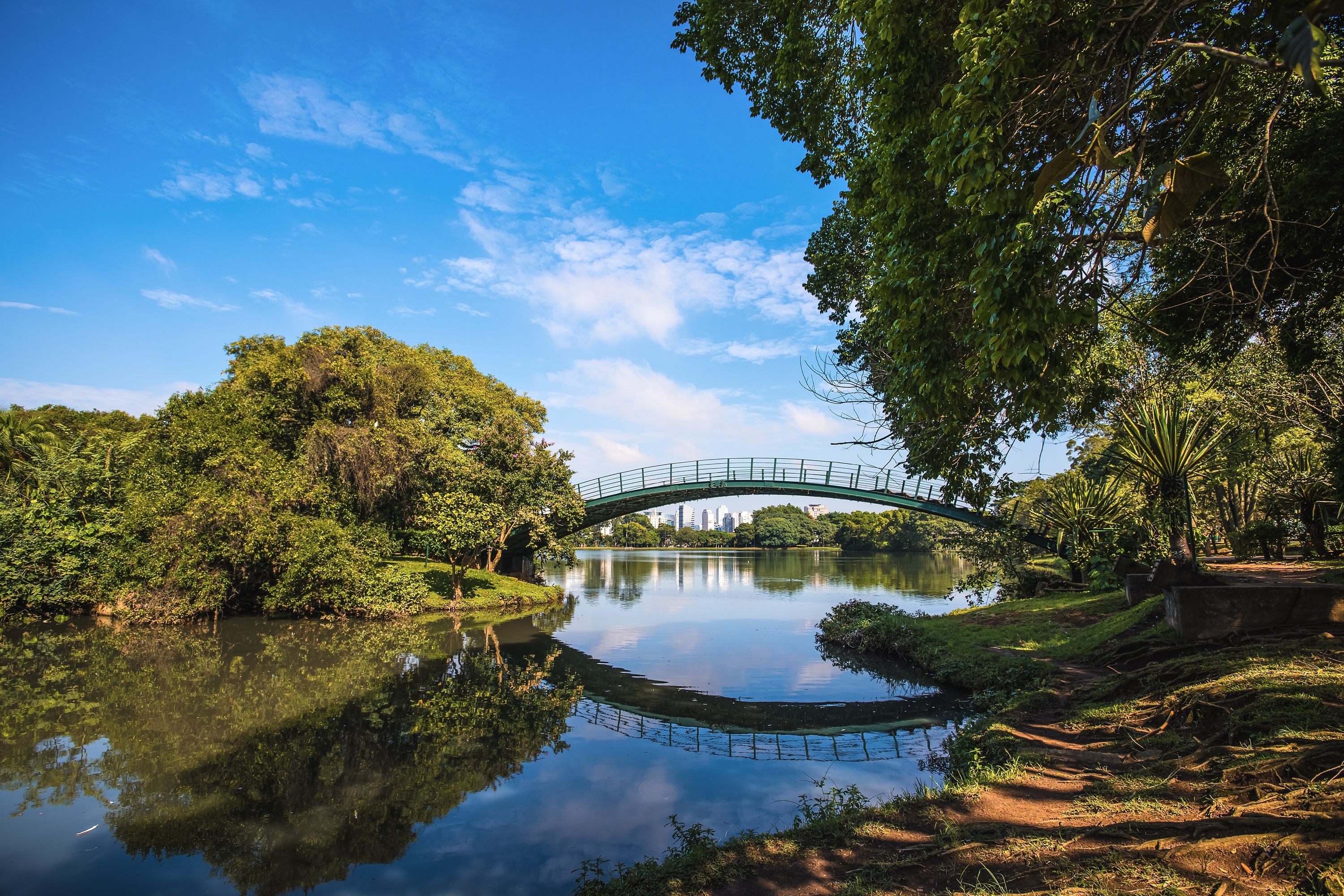 viagem para são paulo parque ibirapuera