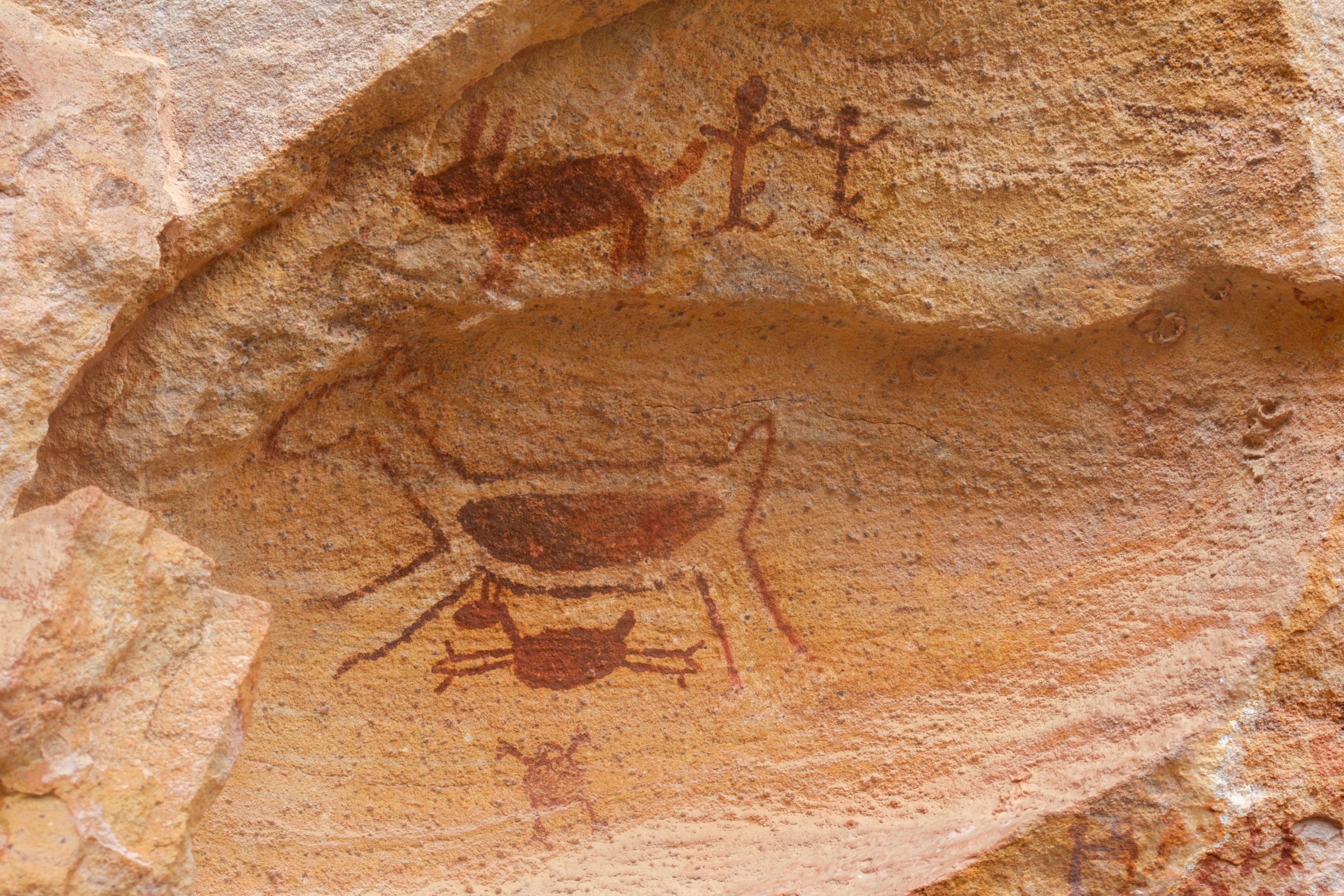 parque nacional da serra da capivara museu