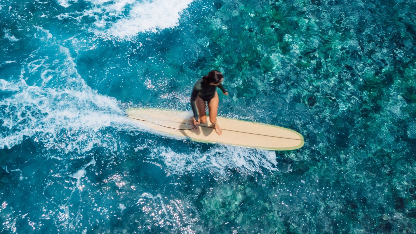comida tipica de barranquilla