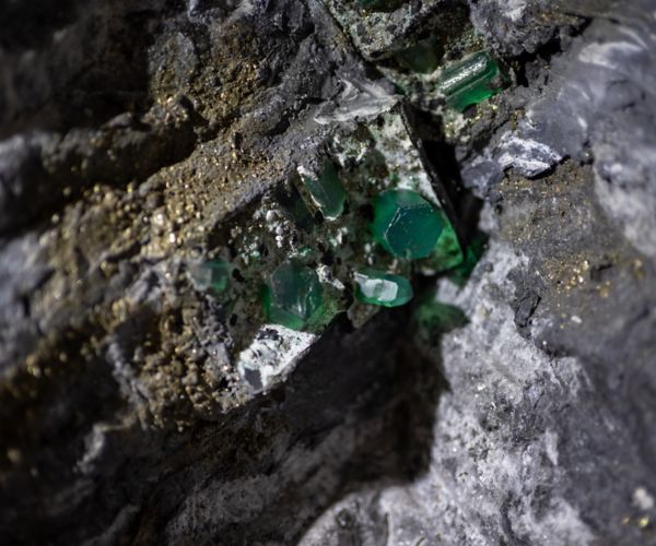 actividades economicas de la region andina