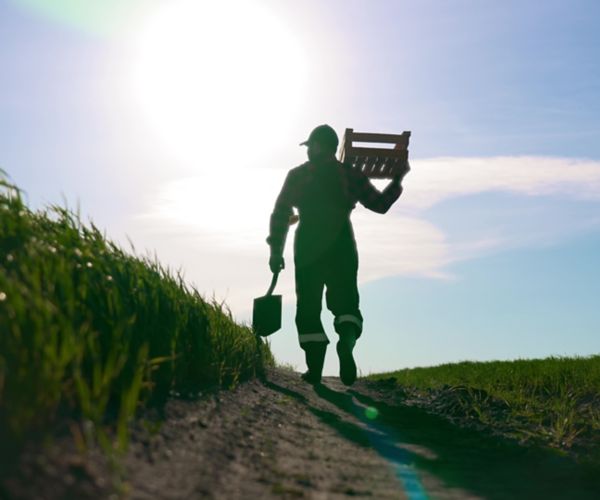 agronegócio no Brasil