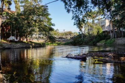 Passeio de trem até Morretes