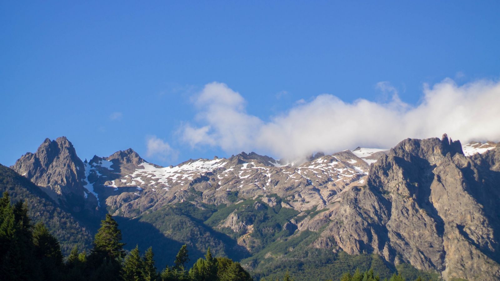 actividades economicas de la region andina