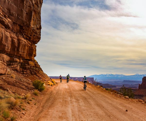 Mountain biking trails