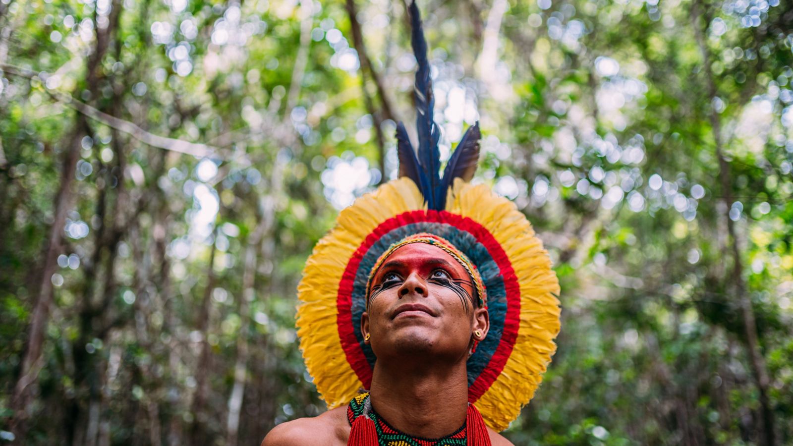 Tribos indígenas brasileiras , aldeias indígenas no Brasil, indios do Brasil