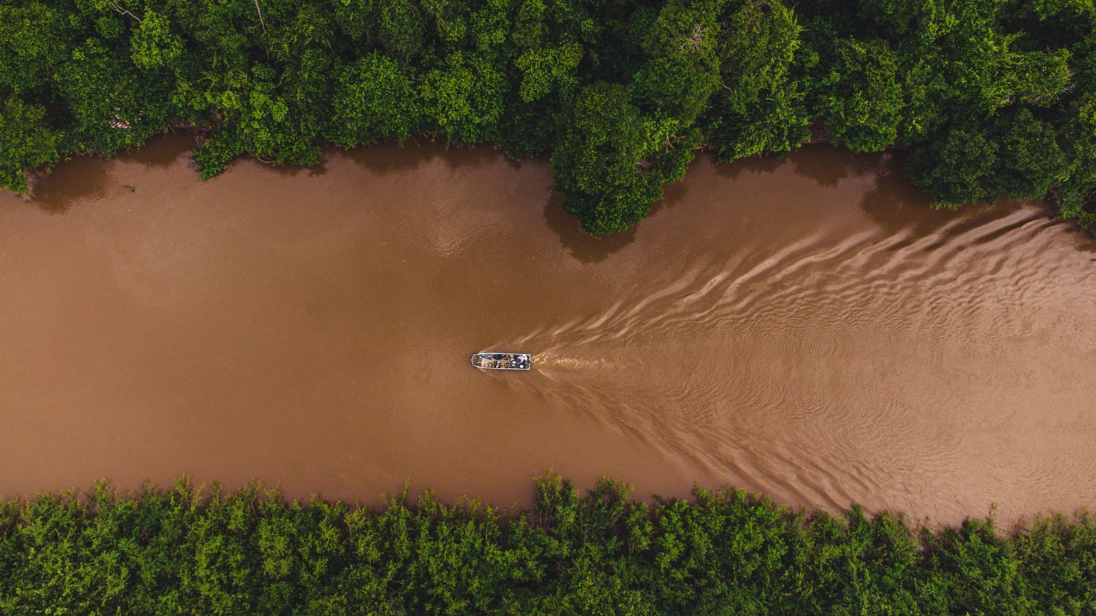 pantanal matogrossense; pantanal do mato grosso 