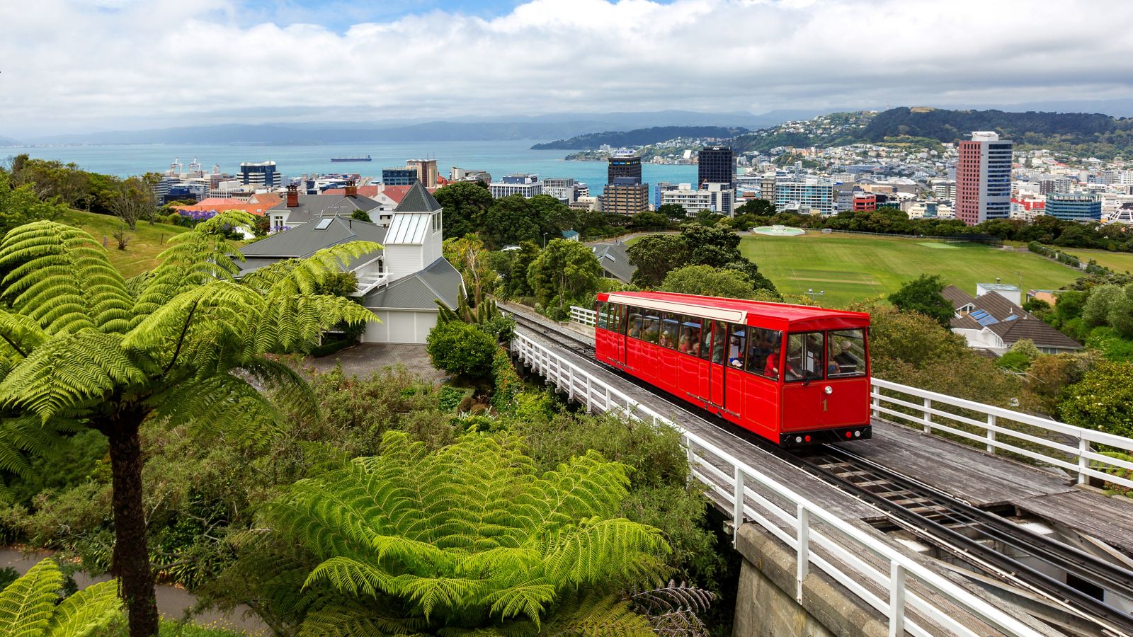 Things to do in Wellington this weekend