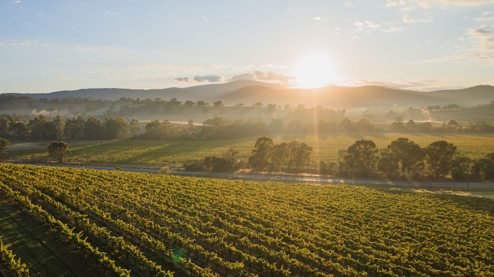 Melbourne wine regions